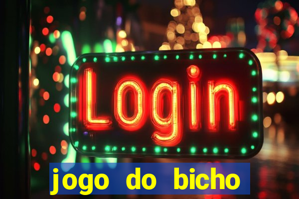 jogo do bicho crash bingo